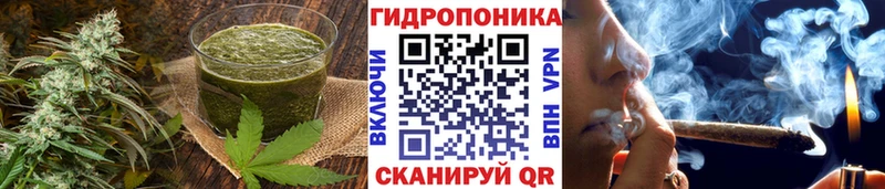 Canna-Cookies конопля  Купить где  Дмитров 